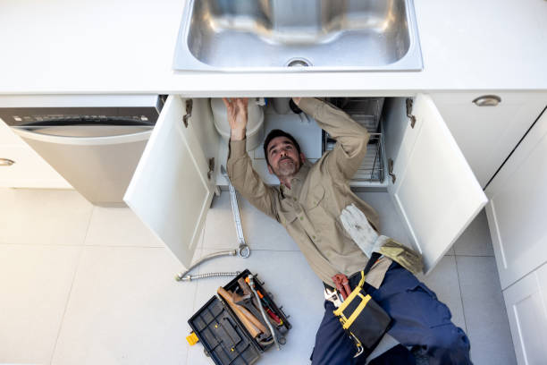 Best Plumbing Inspection Services  in Bellevue, NE