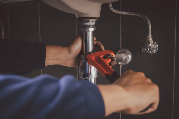 Best Local Plumber Services  in Bellevue, NE